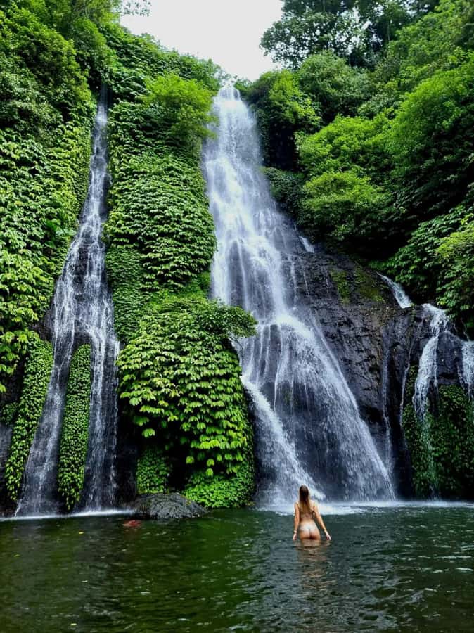 North Bali Trip with 2 Hidden Waterfalls Private Tour - Banyumana Amerta and the curtain of water