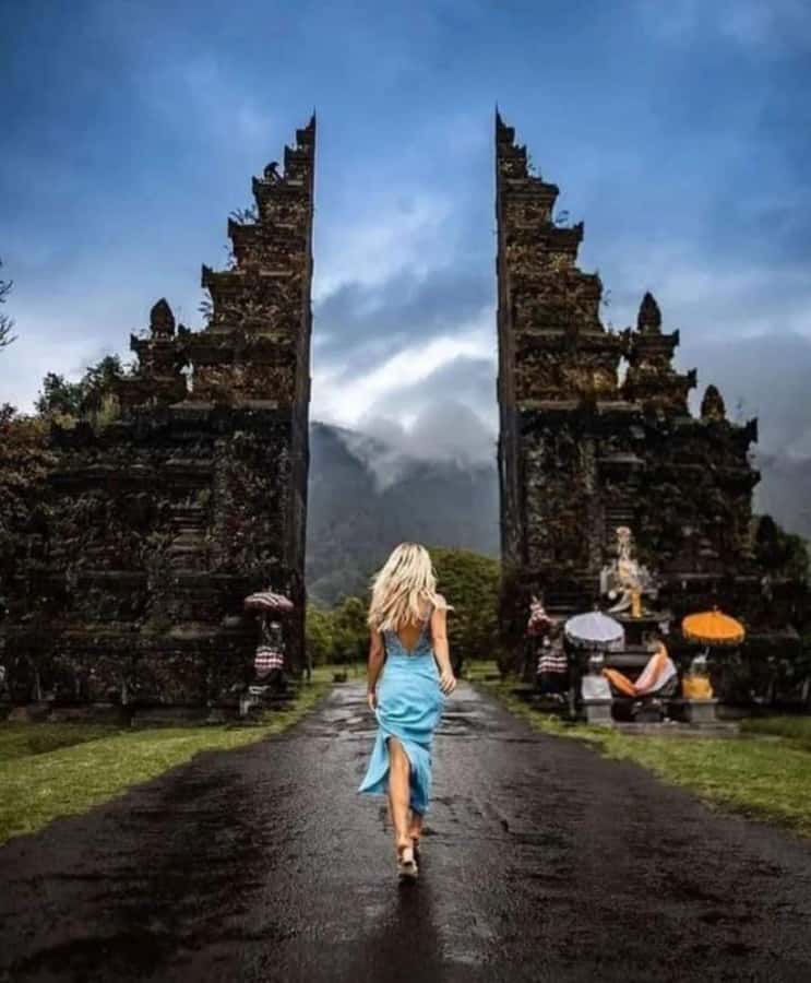 North Bali Trip with 2 Hidden Waterfalls Private Tour - Plantations, farms, and luwak coffee