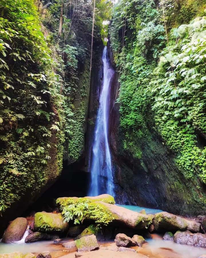 North Bali Trip with 2 Hidden Waterfalls Private Tour - Lunch, transport, and the real value of $41