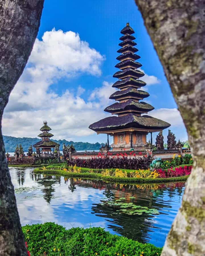 North Bali: Ulun Danu, Waterfalls, Swing and Monkey Forest - What to bring for a smoother day