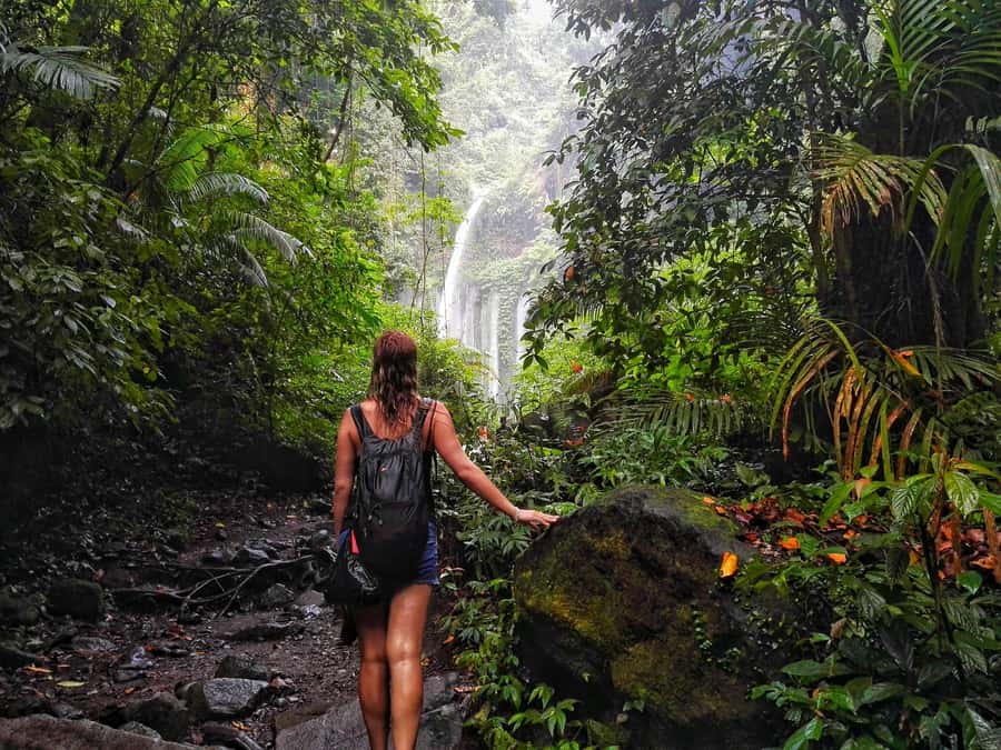 North Lombok: Sendang Gile Waterfall & Senaru Village Tour - At a glance