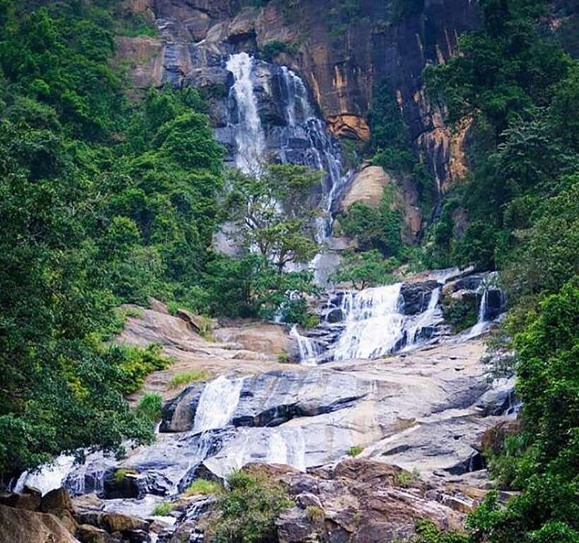Nuwara Eliya: Tea Factory and Pickle Waterfalls Tuk Tuk Tour - Blue Field Tea Factory adds a second view