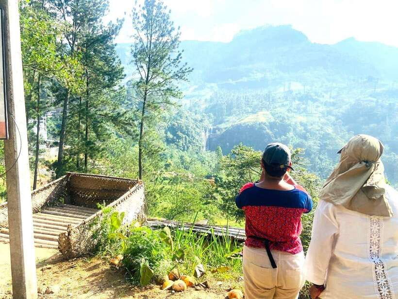 Nuwara Eliya: Tea Factory and Pickle Waterfalls Tuk Tuk Tour - Who should book this experience?