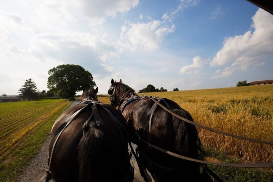 NYC: Niagara Falls, Philadelphia, Washington DC 4-Day Tour - Philadelphia’s Compact Historic Core