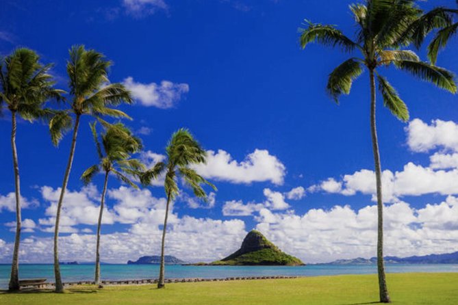 Oahu Circle Island Tour with Waimea Waterfall - Dole Plantation and the return to Honolulu