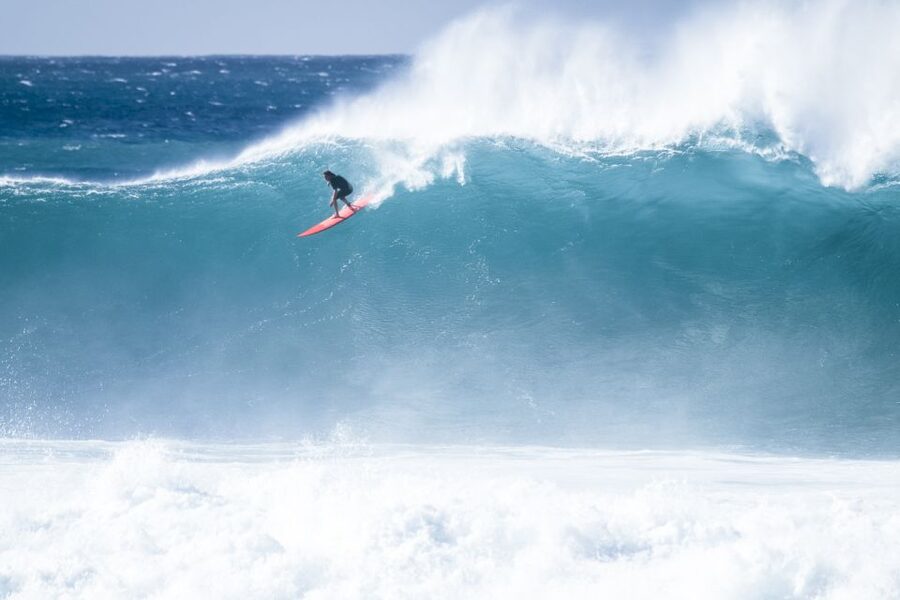 Oahu: Complete Island Tour with Tropical Waterfall Swimming - North Shore surf country and beach wildlife