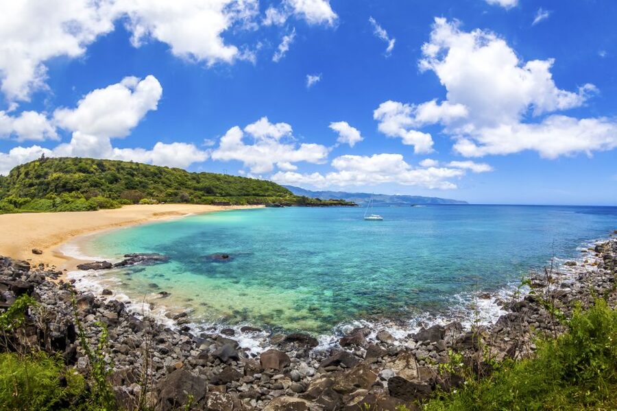 Oahu: Complete Island Tour with Tropical Waterfall Swimming - Waimea Valley and the ¾-mile walk to the falls
