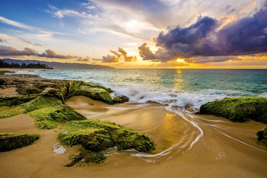 Oahu: Complete Island Tour with Tropical Waterfall Swimming - Makapuʻu and Halona Blowhole on the return route