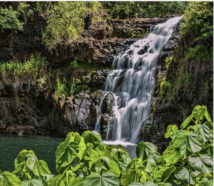 Oahu Hidden Gems & Waimea Botanical Garden/Waterfall tour - What the Day Feels Like From Waikiki