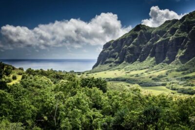 Oahu Hidden Gems & Waimea Botanical Garden/Waterfall tour