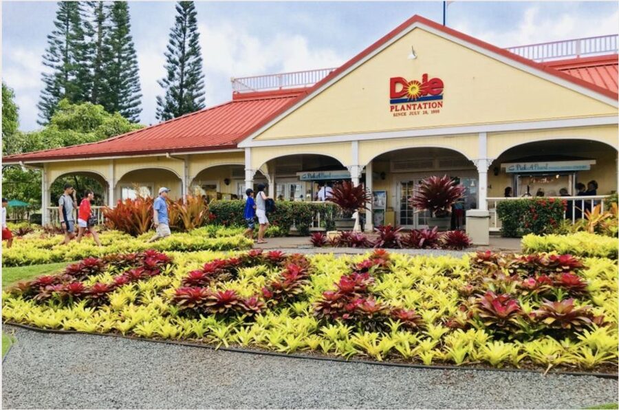 Oahu Hidden Gems & Waimea Botanical Garden/Waterfall tour - Timing, Vehicle Comfort, and Pace