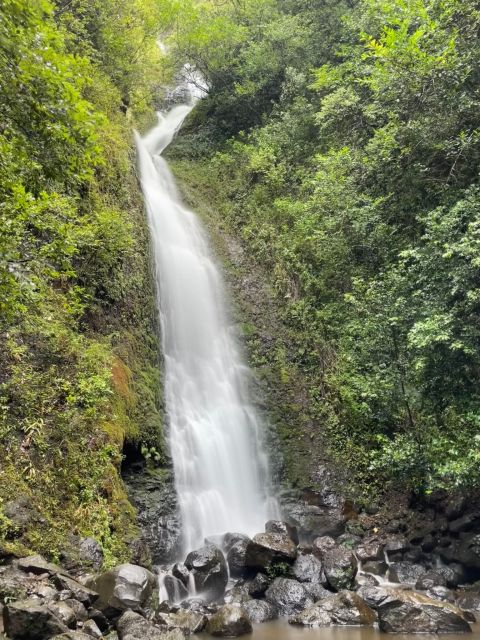 Oahu: Hidden Hawaii Waterfall Hike and Beach Tour - Likeke Falls and the Reality of a Muddy Trail