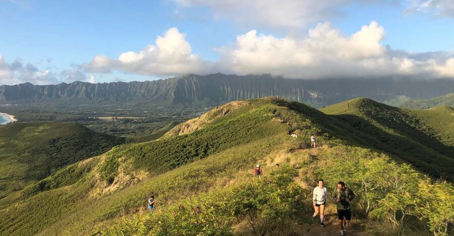 Oahu: Manoa Falls Hike and east side beach day - From Manoa’s forest to Kailua’s shore