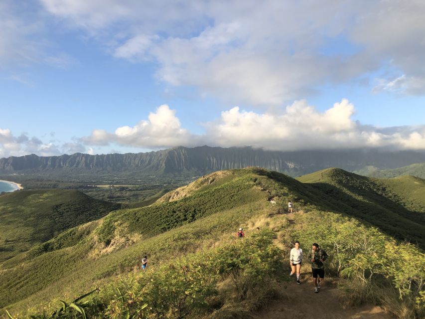 Oahu: Manoa Falls Hike and east side beach day - Seeing Oahu’s southeastern coast by van