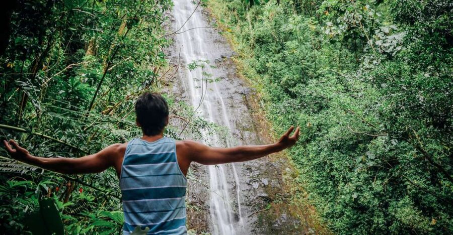 Oahu: Manoa Falls Waterfall Hike with Lunch and Transfers - Key points to know