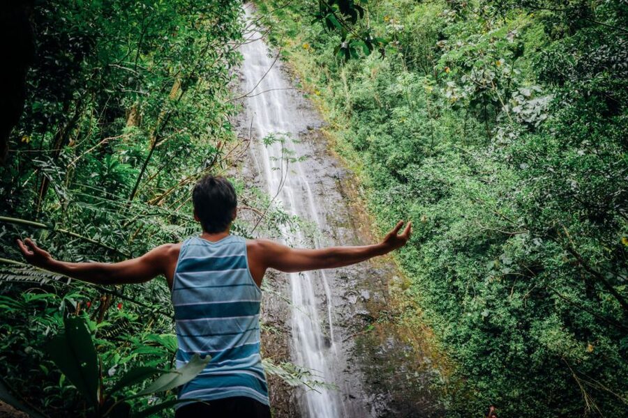 Oahu: Manoa Falls Waterfall Hike with Lunch and Transfers - Guides, Stories, and the Human Side of the Trip