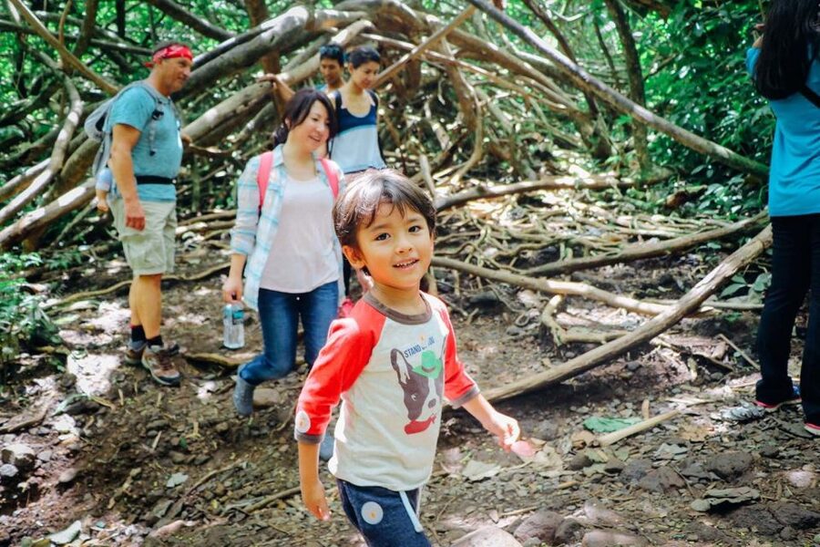 Oahu: Manoa Falls Waterfall Hike with Lunch and Transfers - Who Will Enjoy This Half-Day Tour?