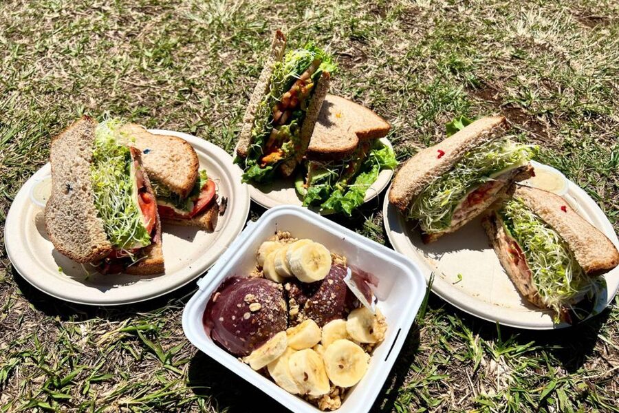 Oahu: Manoa Falls Waterfall Hike with Lunch and Transfers - From Waikiki to Manoa Valley