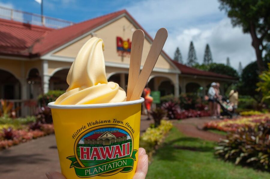 Oahu: Valley of Waimea Falls Swim & Hike with Lunch & Dole - Key points at a glance