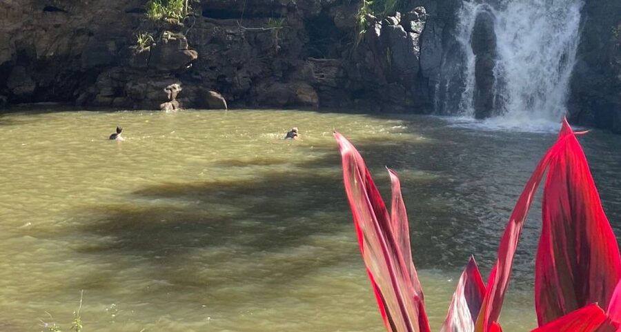 Oahu: Valley of Waimea Falls Swim & Hike with Lunch & Dole - The guides make a real difference