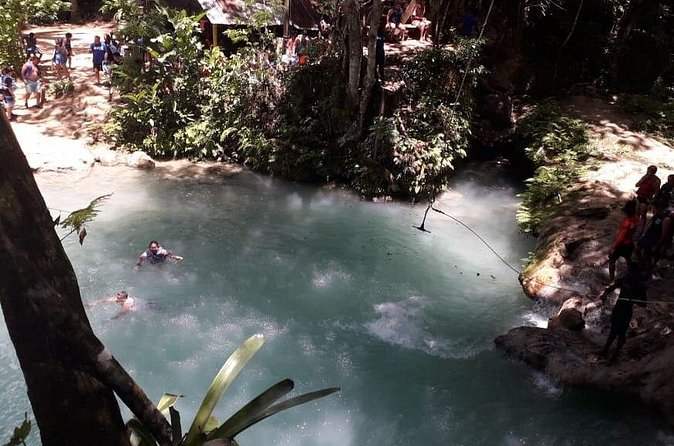 Ocho Rios Blue Hole and Dunn's River Falls Tour - Who Will Enjoy This Most?