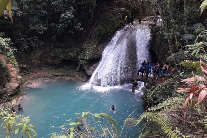Ocho Rios Blue Hole and Dunn's River Falls Tour - Climbing Dunn’s River Falls