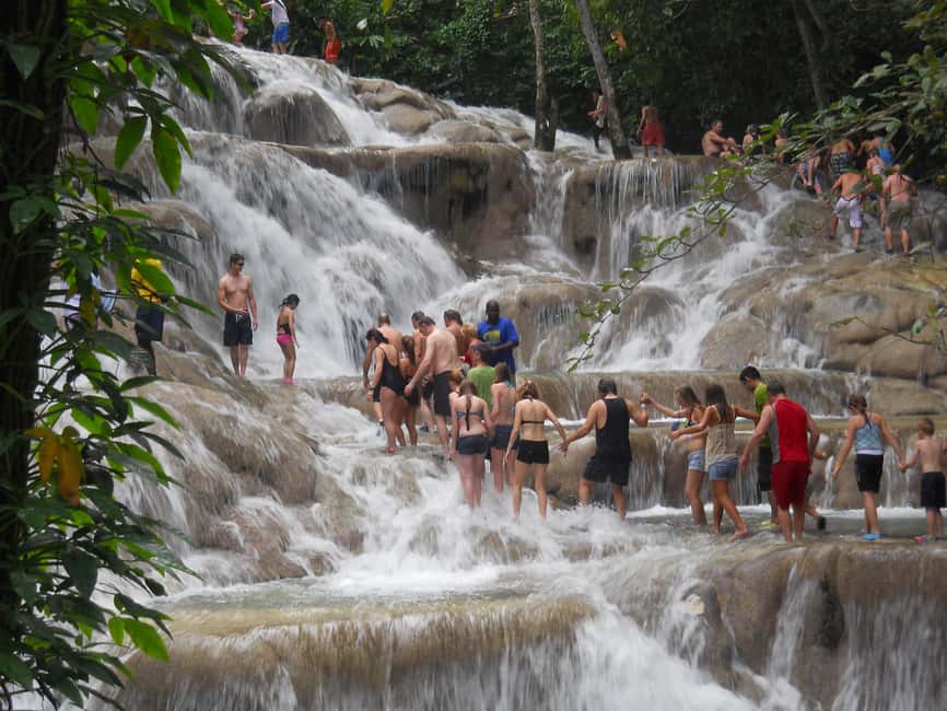 Ocho Rios: Blue Hole, Dunn’s River & Reggae Hill Guided Tour - Transport, pickup, and the six-hour schedule