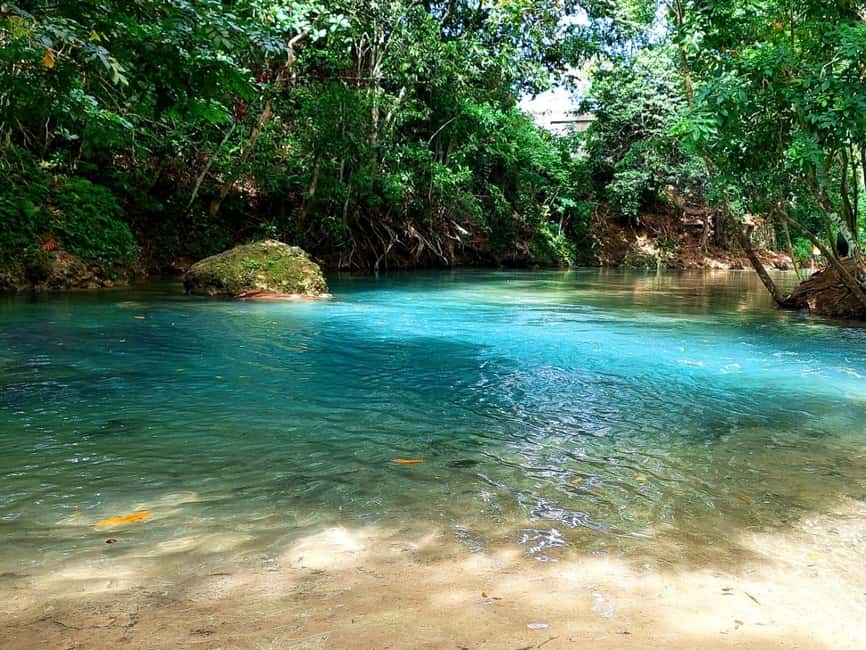 Ocho Rios: Dunn’s River Falls & Reggae Hill Tour - Should you book Dunn’s River Falls and Reggae Hill?