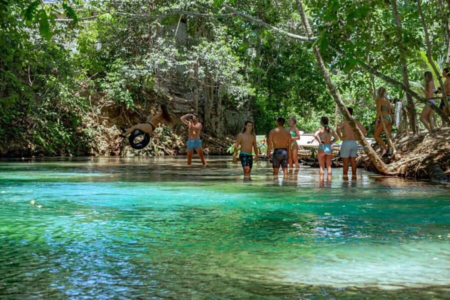 Ocho Rios: Dunn’s River Falls & Reggae Hill Tour - What the waterfall climb feels like in practice