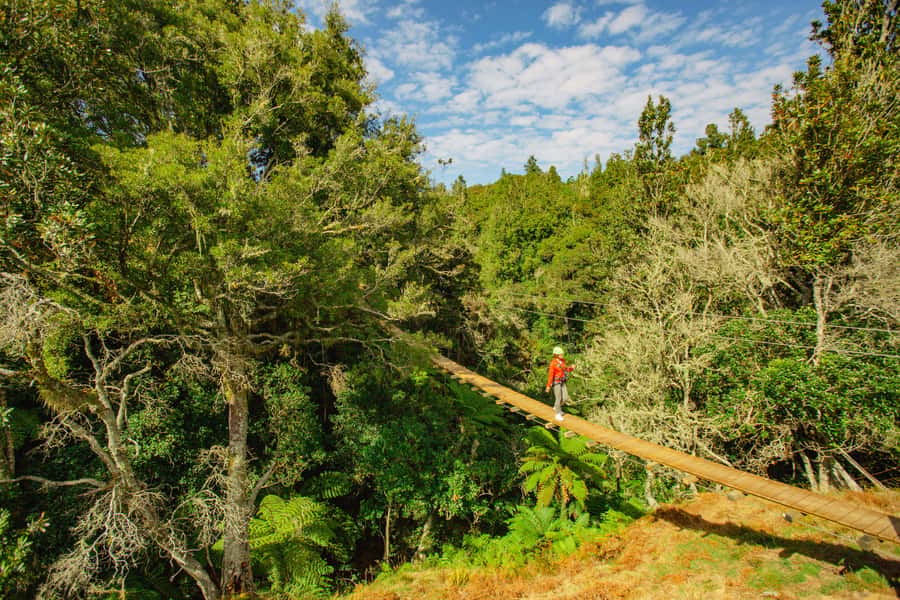 Okere Falls: Zipline over Waterfalls Experience - Should you book it?