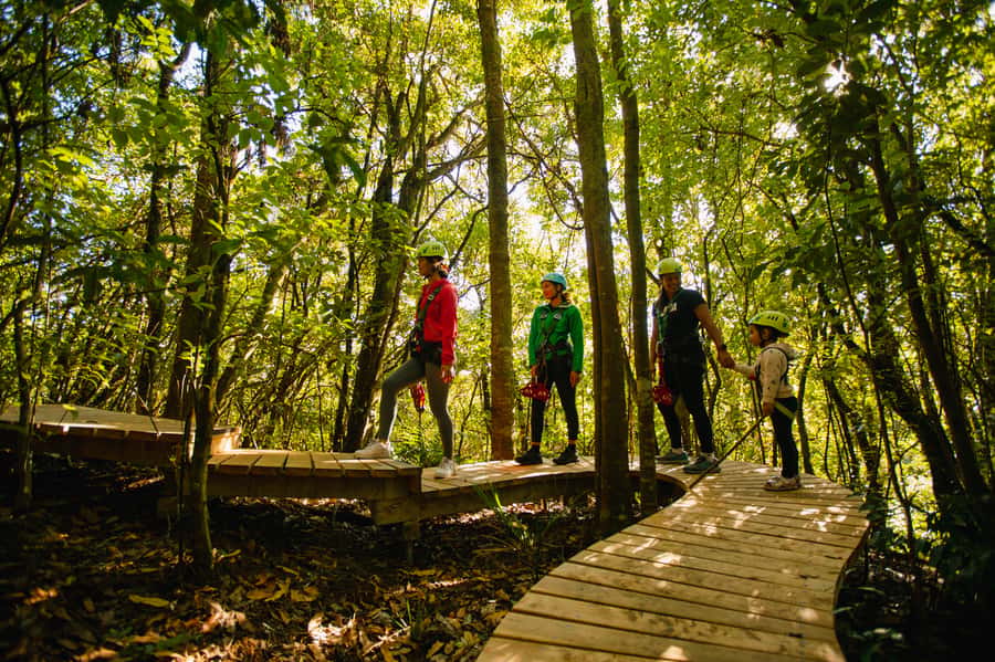 Okere Falls: Zipline over Waterfalls Experience - Who should book Okere Falls Zipline?