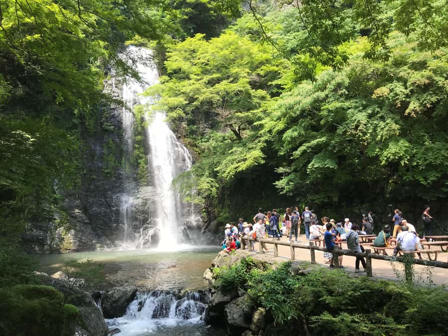 Osaka: Mino Forest Walk and Giant Waterfall with Local Lunch - The first hour: riverside Mino and local culture