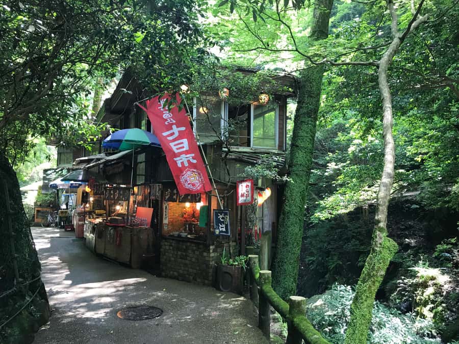 Osaka: Mino Forest Walk and Giant Waterfall with Local Lunch - The return walk and the local lunch