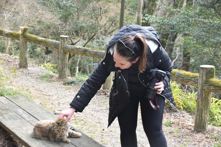 Osaka: Mino Forest Walk and Giant Waterfall with Local Lunch - What the guides add