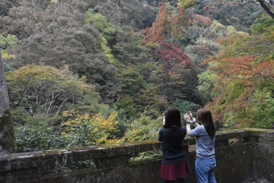 Osaka: Mino Forest Walk and Giant Waterfall with Local Lunch - Is $79 good value?