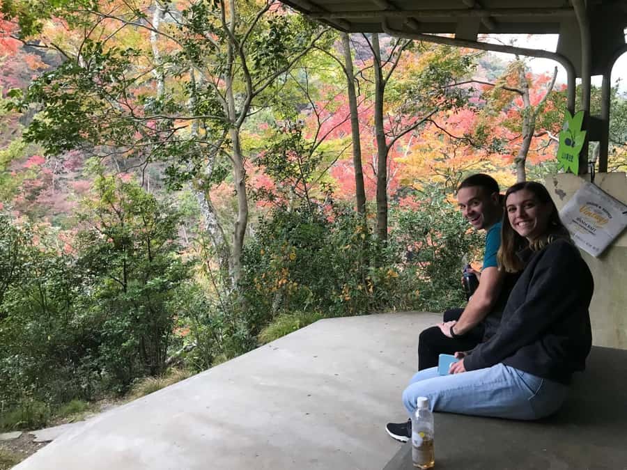 Osaka: Mino Forest Walk and Giant Waterfall with Local Lunch - Who should book this Mino tour?