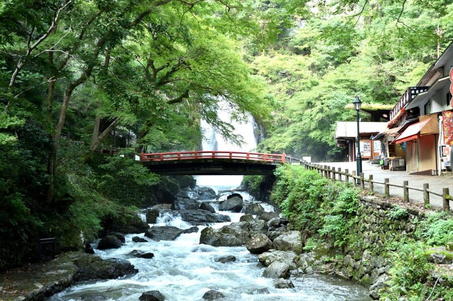 Osaka: Minoh, Katsuoji Temple, & Minoh Falls Full-day Tour - Key points to know before booking