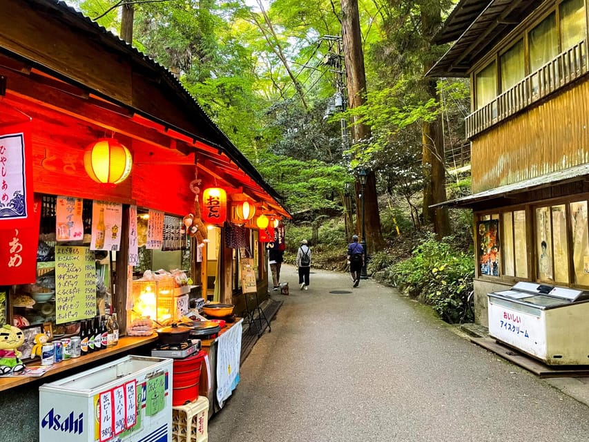 Osaka: Minoh, Katsuoji Temple, & Minoh Falls Full-day Tour - Who should book this Minoh day trip?