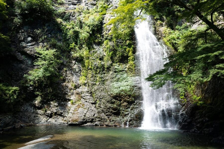 Osaka: Minoh, Katsuoji Temple, & Minoh Falls Full-day Tour - Should you book the Katsuoji and Minoh Falls tour?