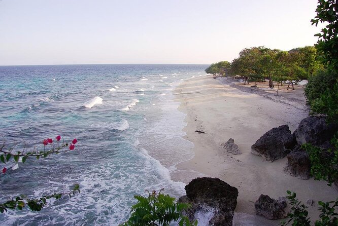 Oslob Whale Shark Private Tour with Sumilon & Tumalog Falls - Key points to know before booking