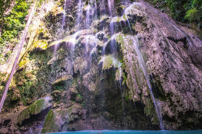 Oslob Whale Shark Private Tour with Sumilon & Tumalog Falls - Six hours of driving shapes the whole day