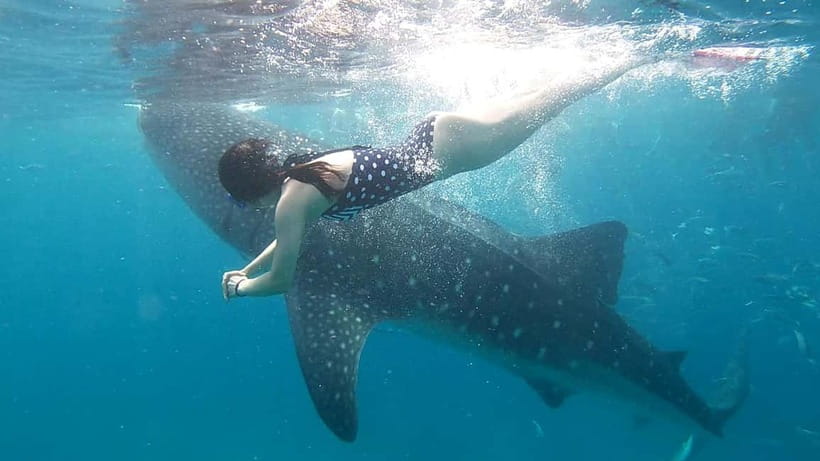 Oslob Whale Shark Swimming & Kawasan Falls Canyoneering - Kawasan Falls canyoneering in Badian