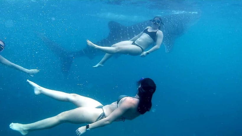 Oslob Whale Shark Swimming & Kawasan Falls Canyoneering - Should you book the Oslob and Kawasan combination?