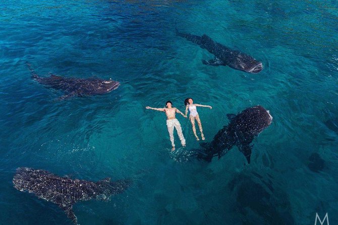 Oslob Whale Shark & Tumalog Falls & Kawasan Falls Canyoneering - Tumalog Falls brings a cool pause