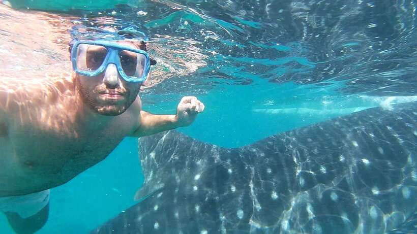 Oslob: Whale Sharks, Inambakan Falls & Moalboal Sardines - Key points to know before booking