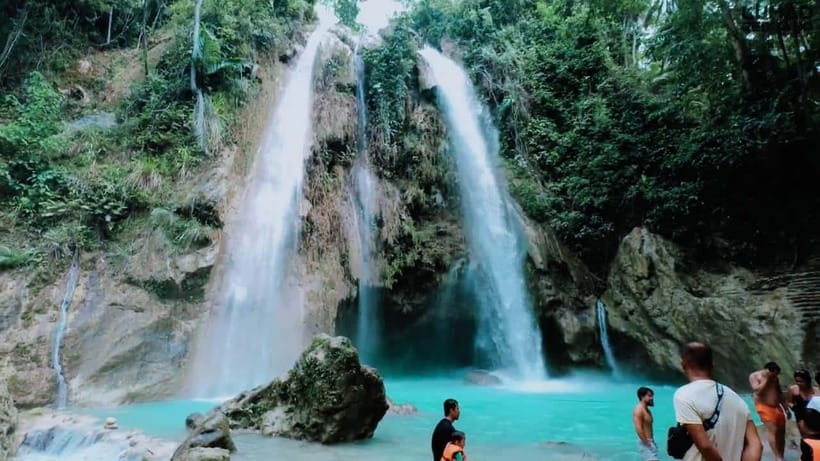 Oslob: Whale Sharks, Inambakan Falls & Moalboal Sardines - Moalboal’s sardine run is a powerful finish
