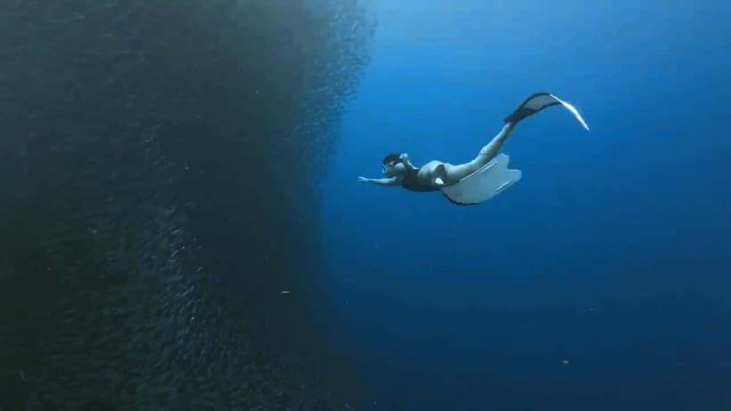 Oslob: Whale Sharks, Inambakan Falls & Moalboal Sardines - Guides, drivers, and the human side of the day