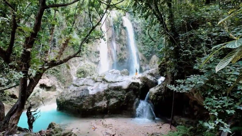 Oslob: Whaleshark Swimming, Inambakan Falls & Moalboal Tour - What the $90 price really covers