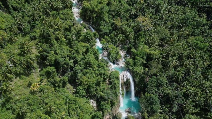 Oslob: Whaleshark Swimming, Inambakan Falls & Moalboal Tour - Who should book this tour