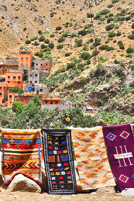 Ourika Valley, Atlas Mountains, Waterfalls & Guided Tour - Should you book this Ourika Valley day trip?